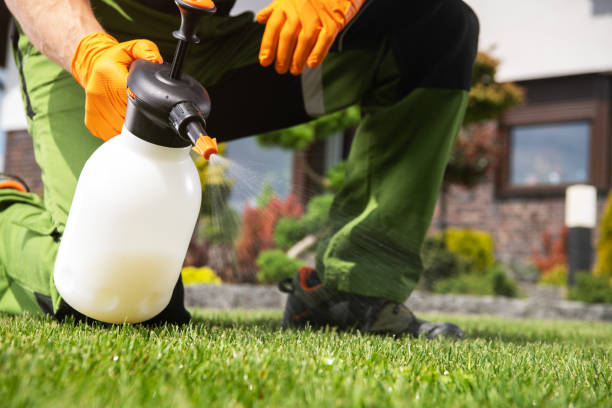 Best Commercial Pest Control Services  in Scappoose, OR