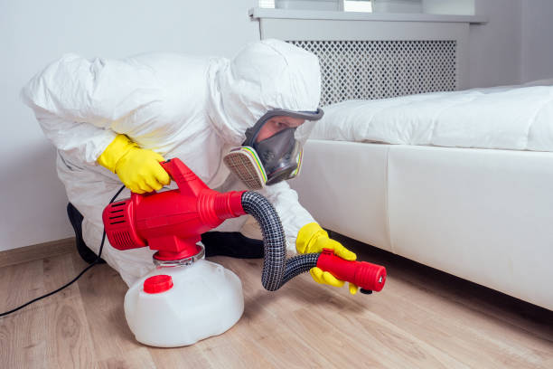 Professional Pest Control in Scappoose, OR