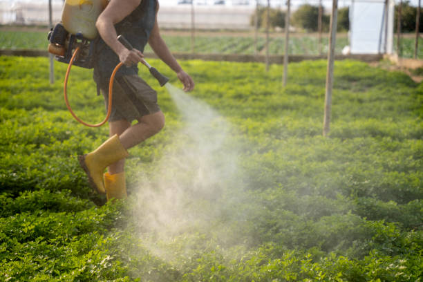 Best Pest Inspection Near Me  in Scappoose, OR