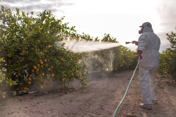 Best Pest Control for Restaurants  in Scappoose, OR