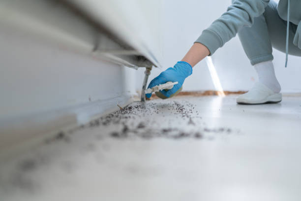 Best Pest Control Near Me  in Scappoose, OR