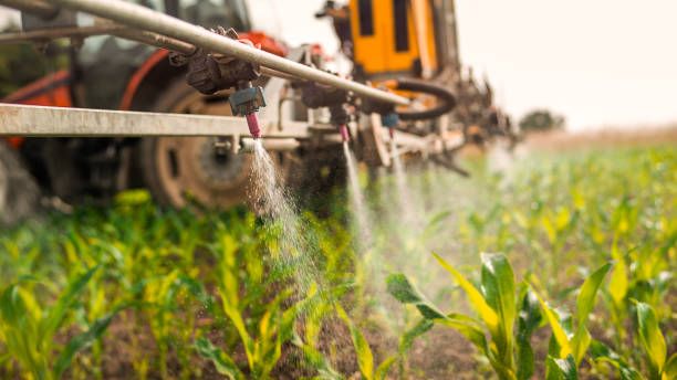 Best Mosquito Control Services  in Scappoose, OR